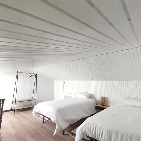 Sol & Sal T2 마토지뉴스